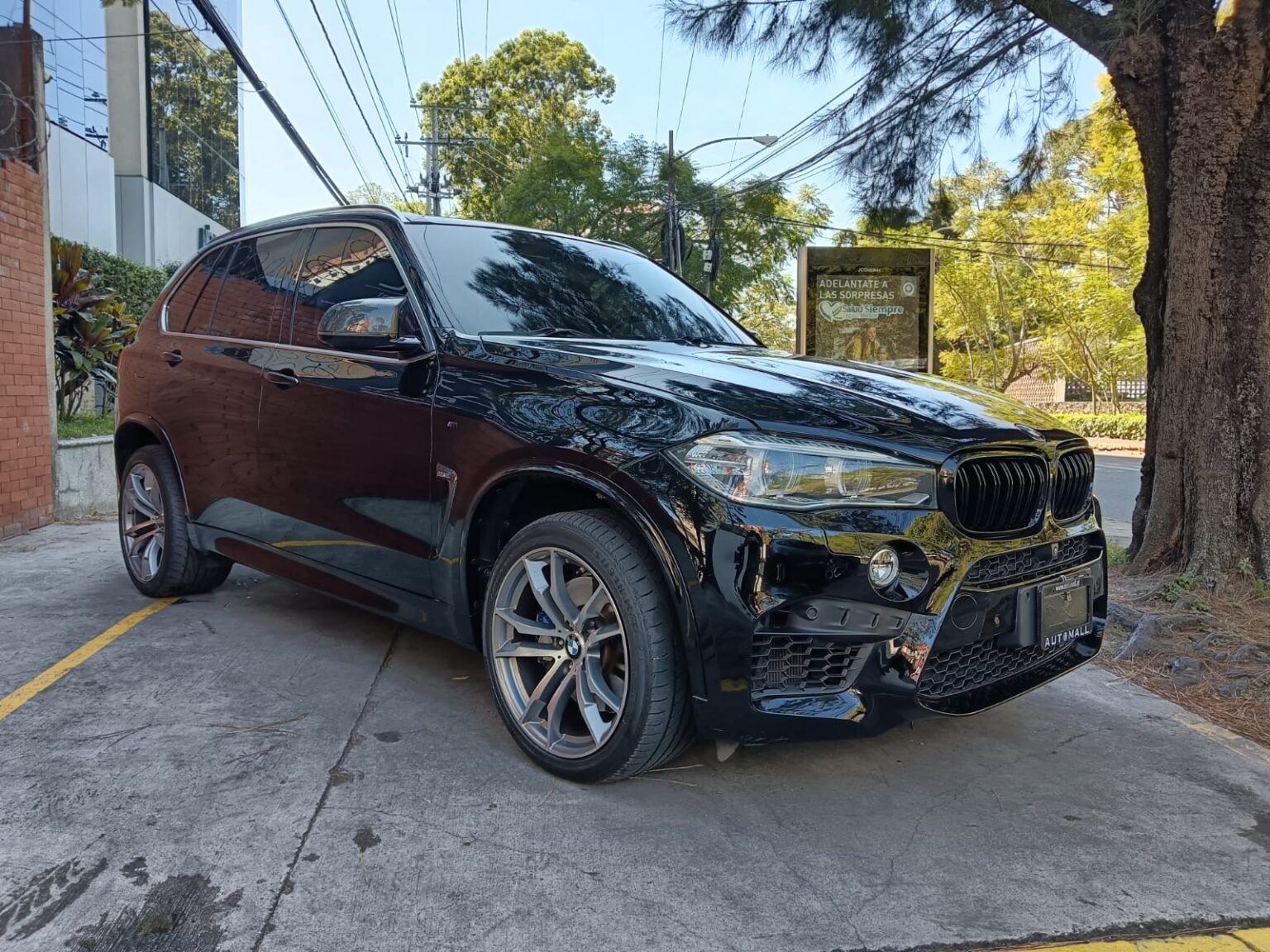 BMW-X5-50i-2014-375GDS (5)