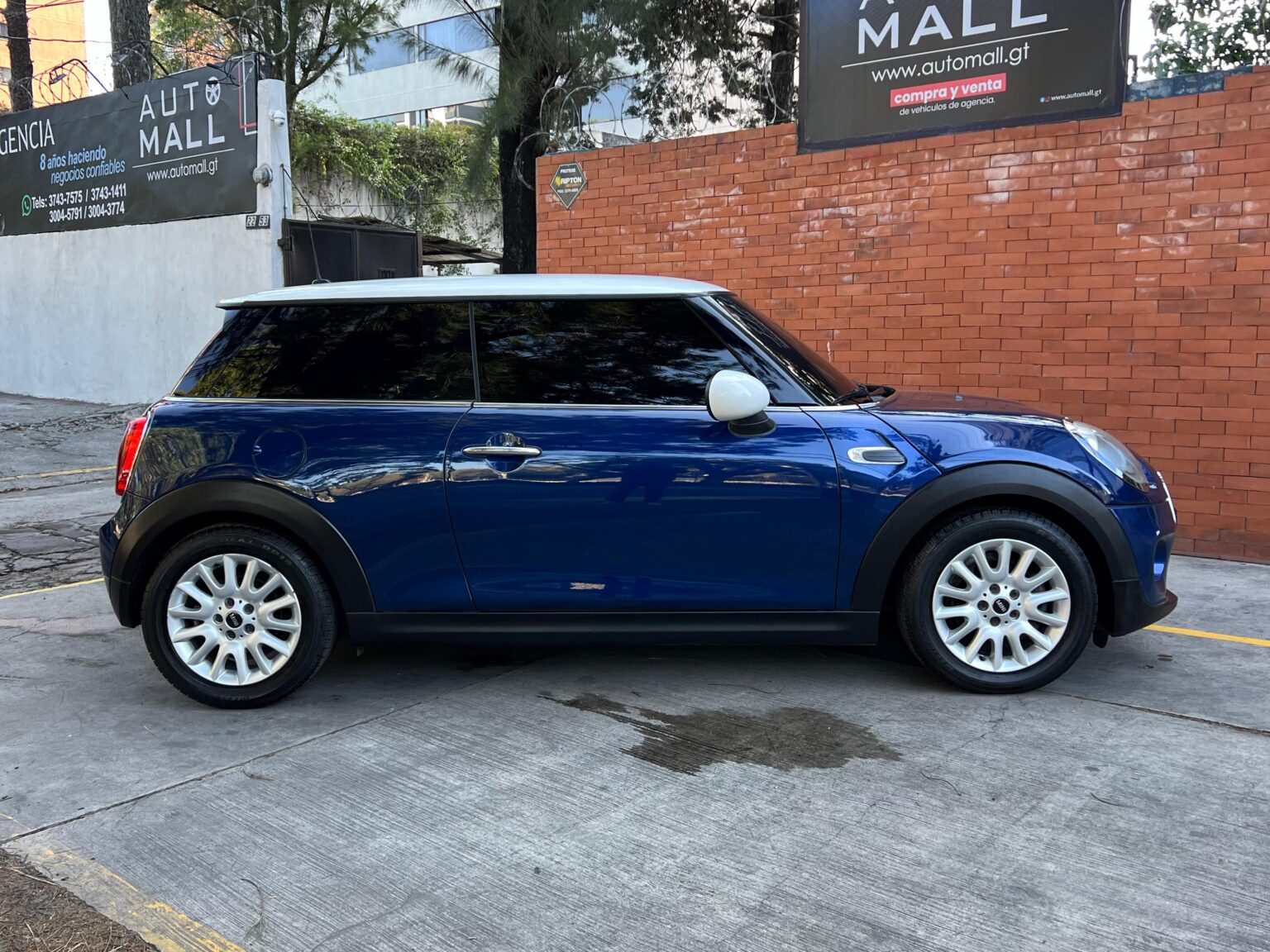 Mini-Cooper-MT- (4)