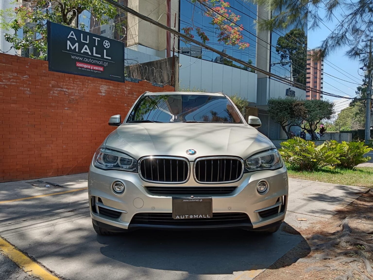 BMW-X5-25D-2017-081GHX (3)