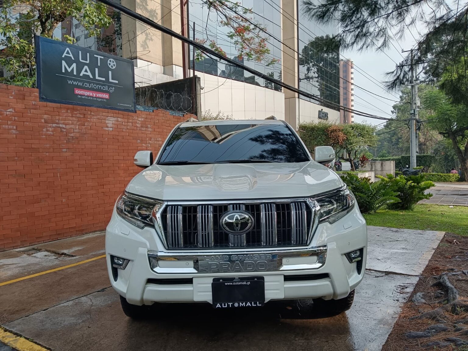 Toyota-Land-Cruiser-Prado-VX-2024-856KKB (3)