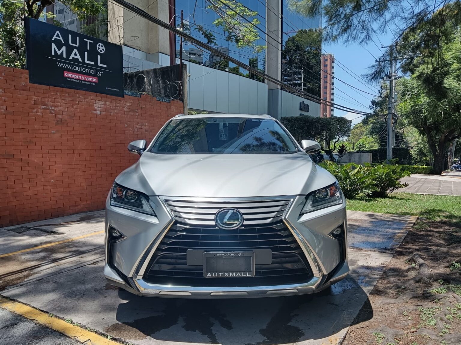 Lexus-RX350L-2019-113JNF (3)