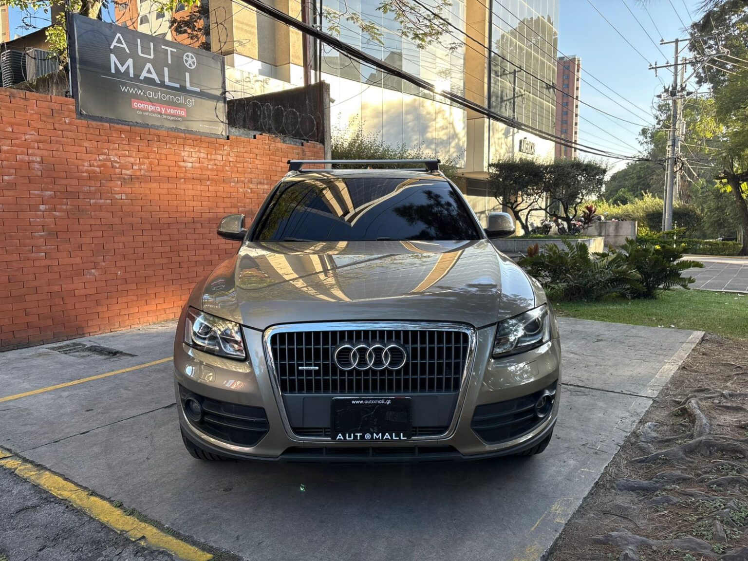 Audi-Q5-2011-655DYP (1)