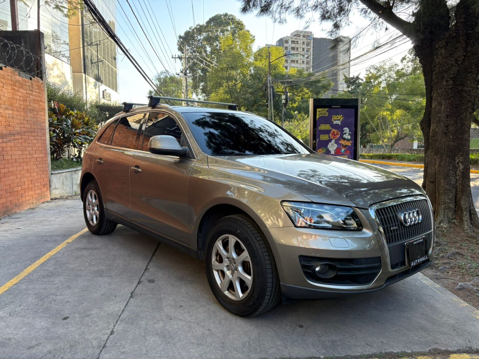 Audi-Q5-2011-655DYP (10)