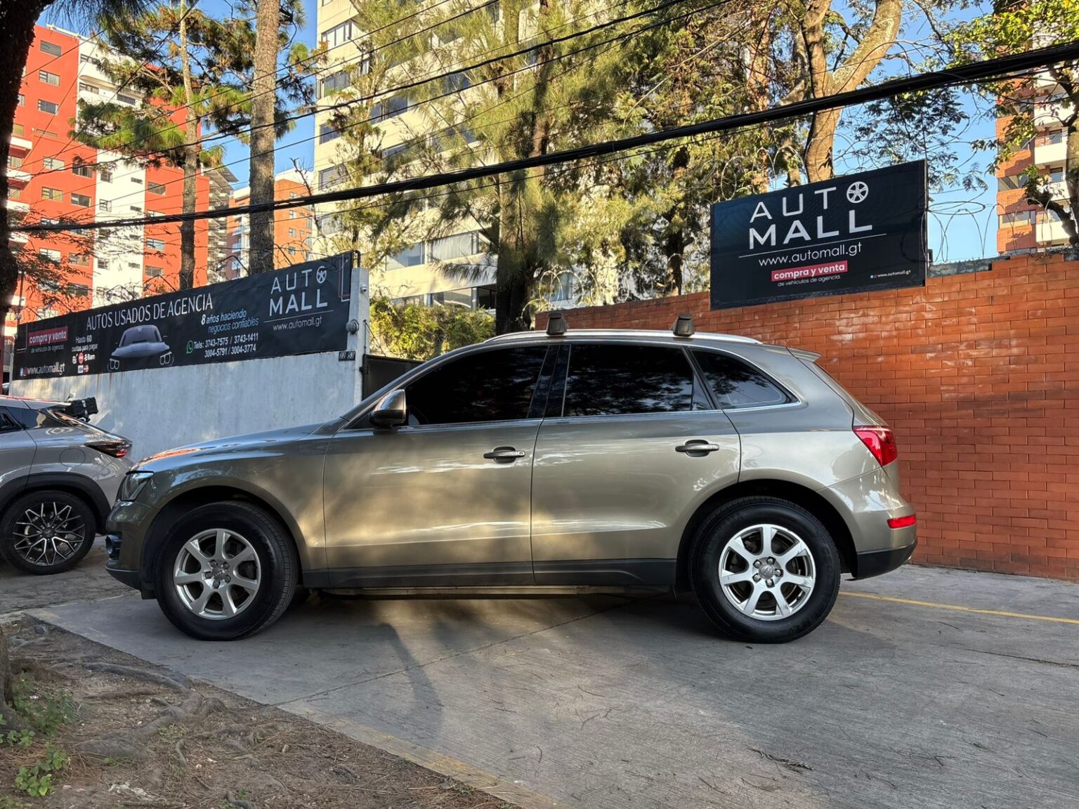 Audi-Q5-2011-655DYP (7)