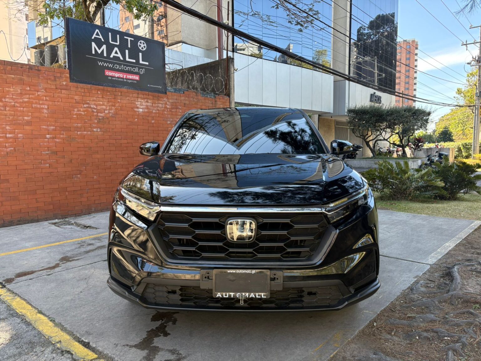 Honda-CRV-EX-AWD-2024-358LFB (3)