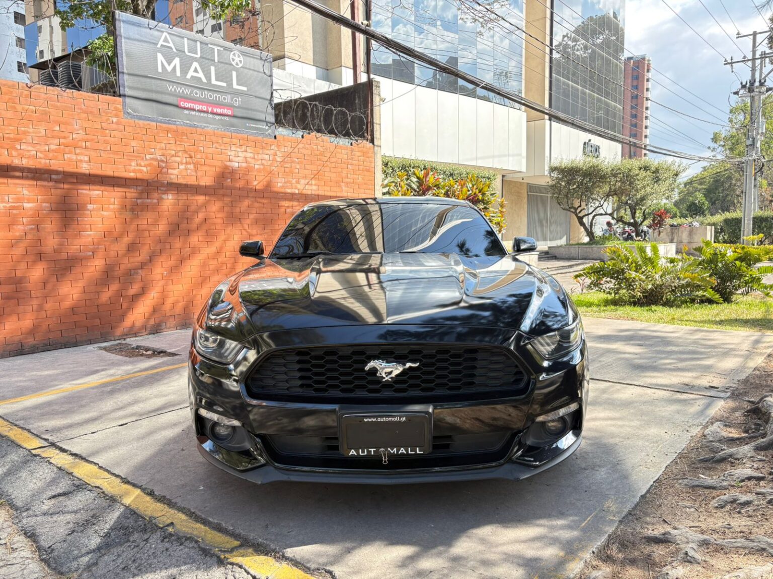 Ford-Mustang-2016-704HZH (1)