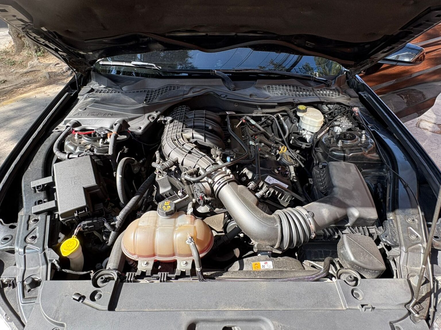 Ford-Mustang-2016-704HZH (12)