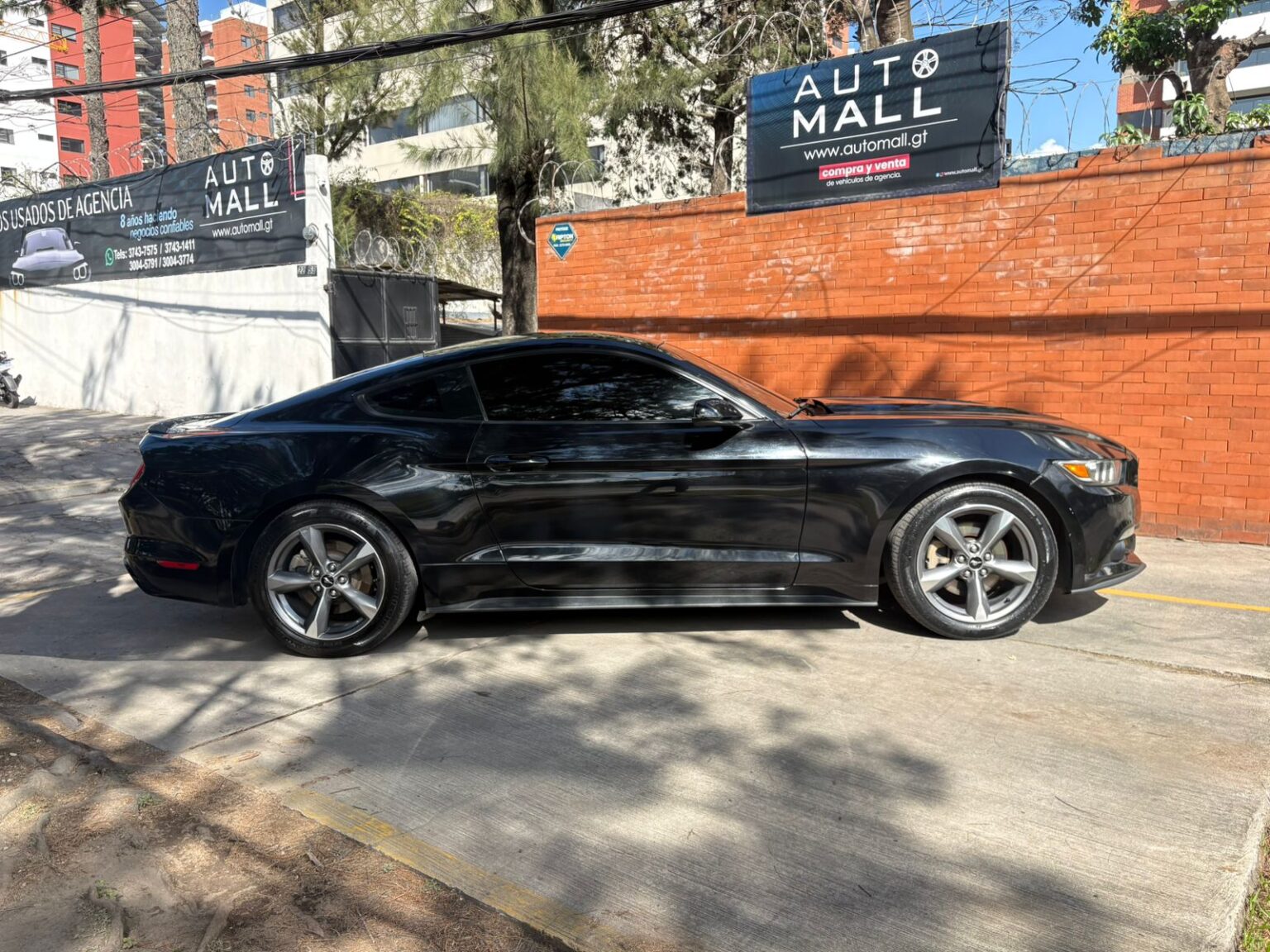 Ford-Mustang-2016-704HZH (3)