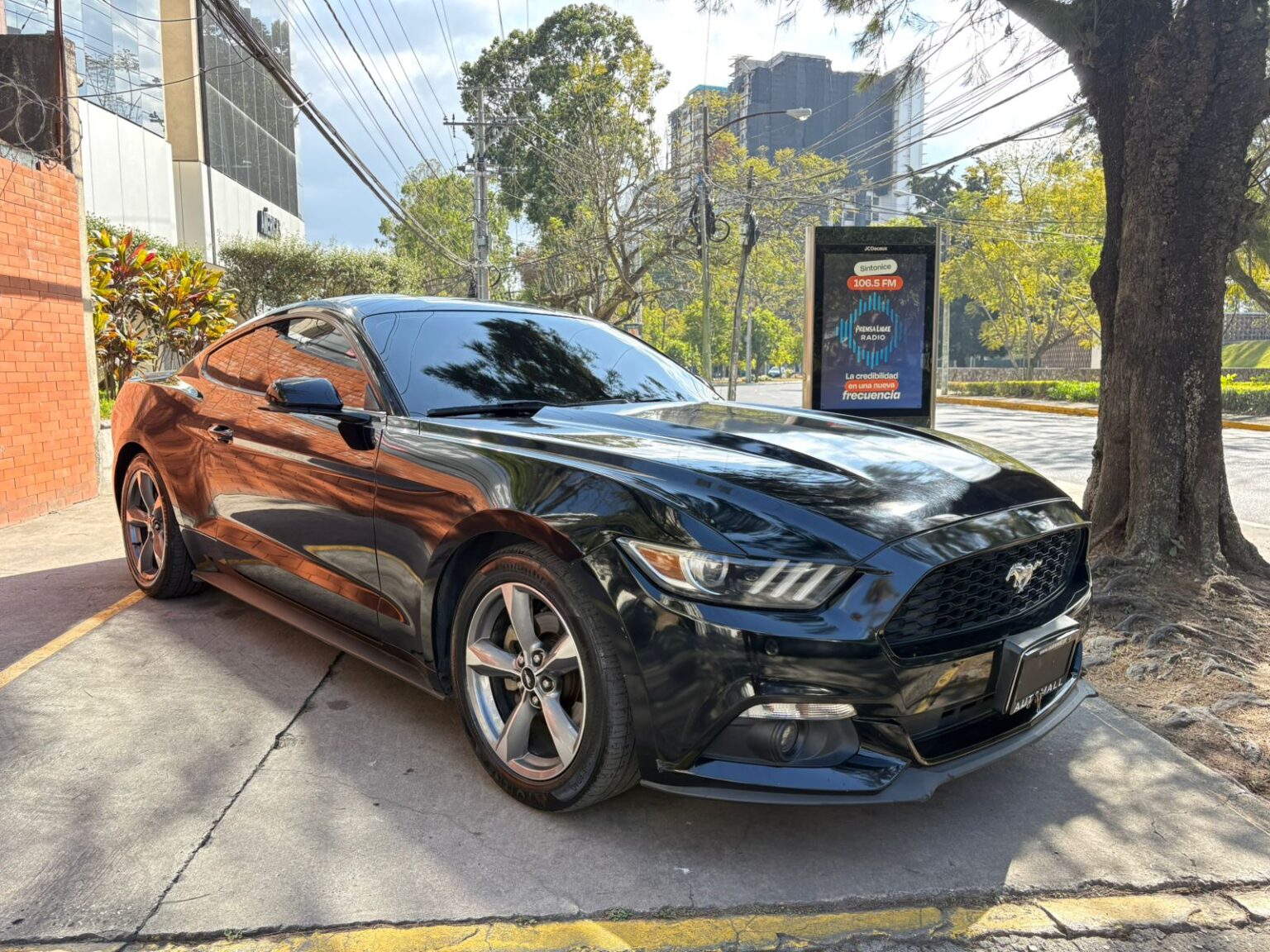 Ford-Mustang-2016-704HZH (4)