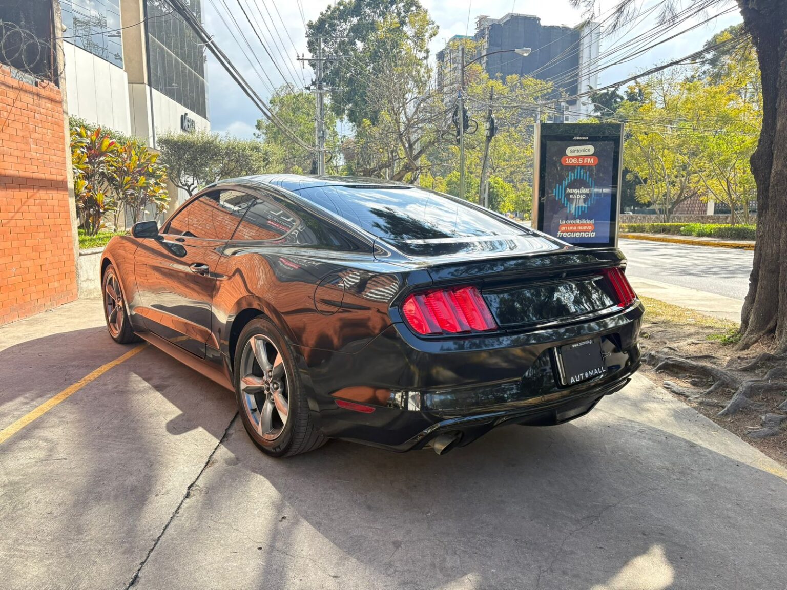 Ford-Mustang-2016-704HZH (6)