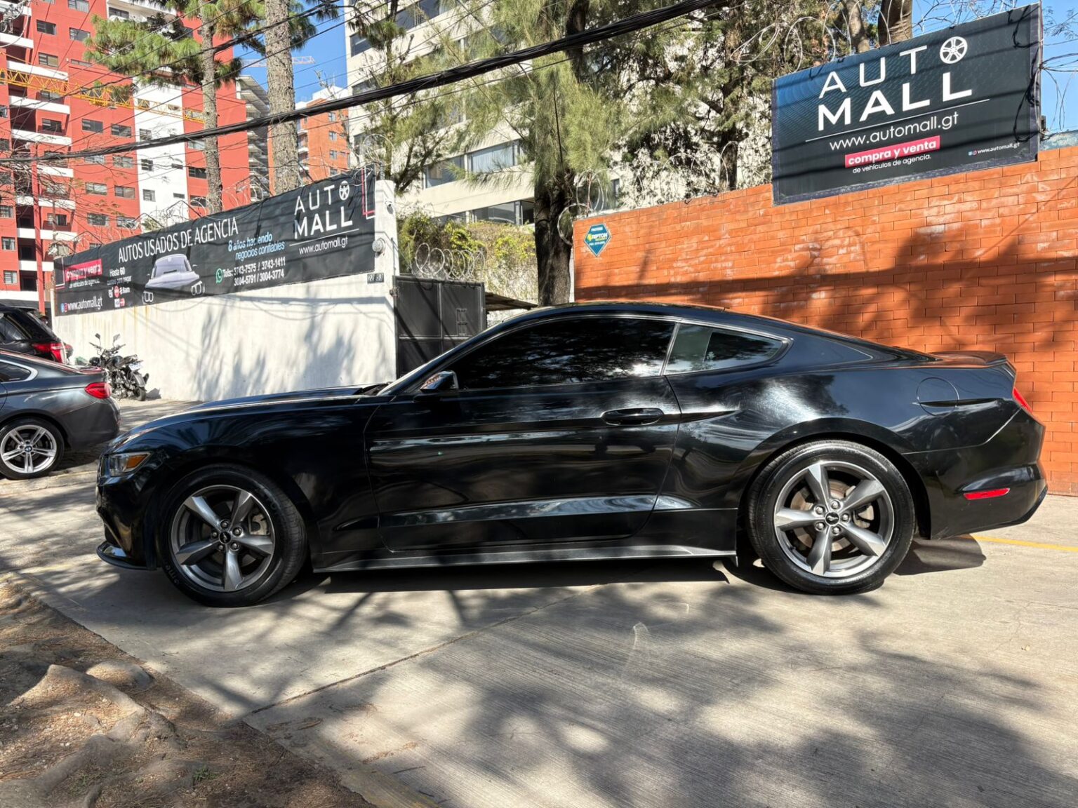 Ford-Mustang-2016-704HZH (7)