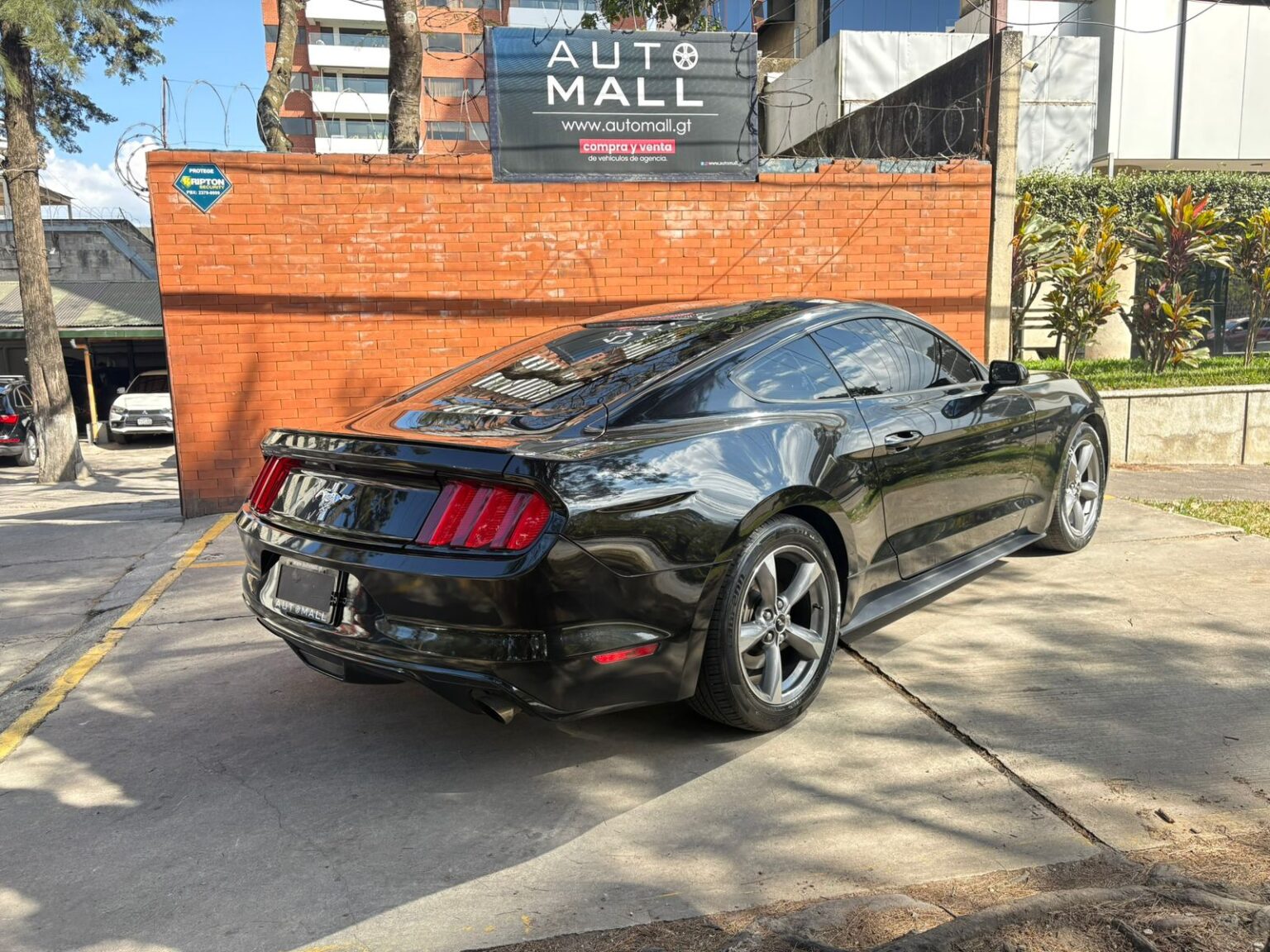 Ford-Mustang-2016-704HZH (9)
