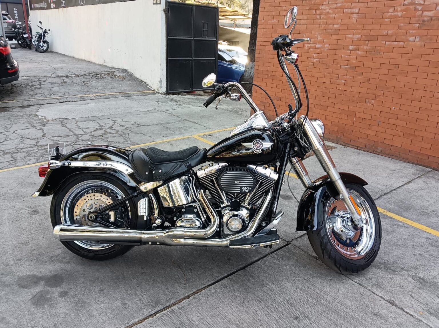 Harley-Davidson-FLSTF-2010-176JTG (11)