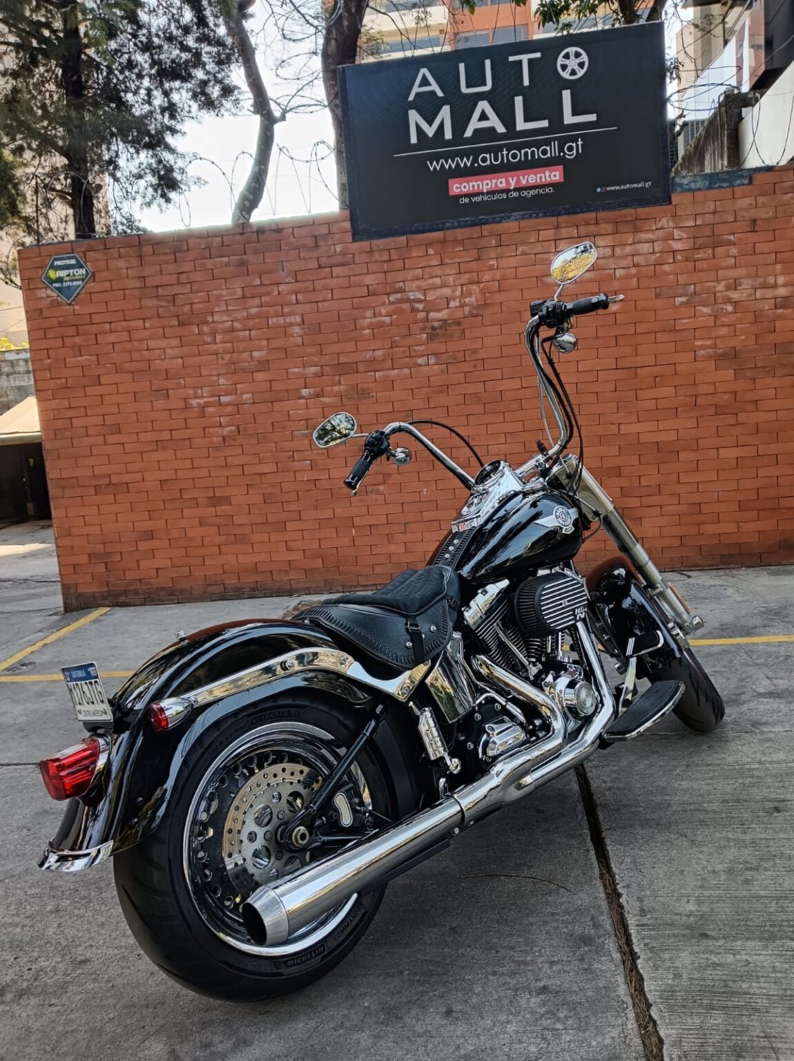 Harley-Davidson-FLSTF-2010-176JTG (12)