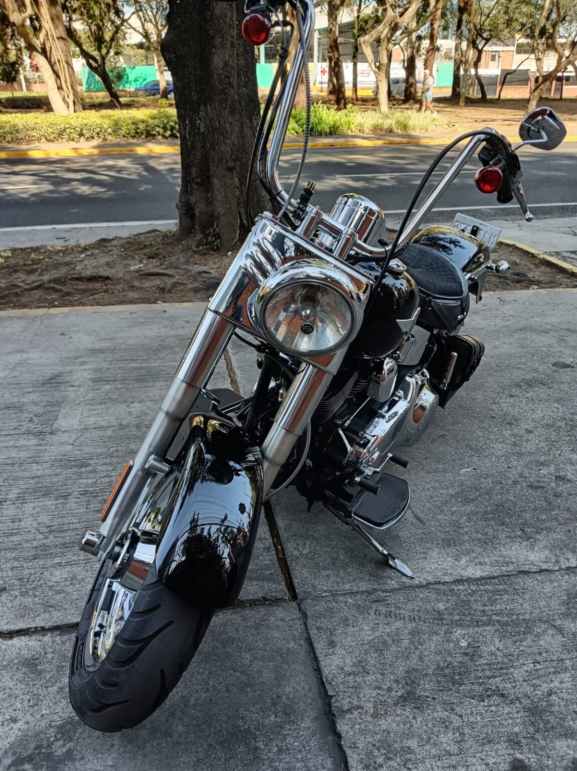 Harley-Davidson-FLSTF-2010-176JTG (2)