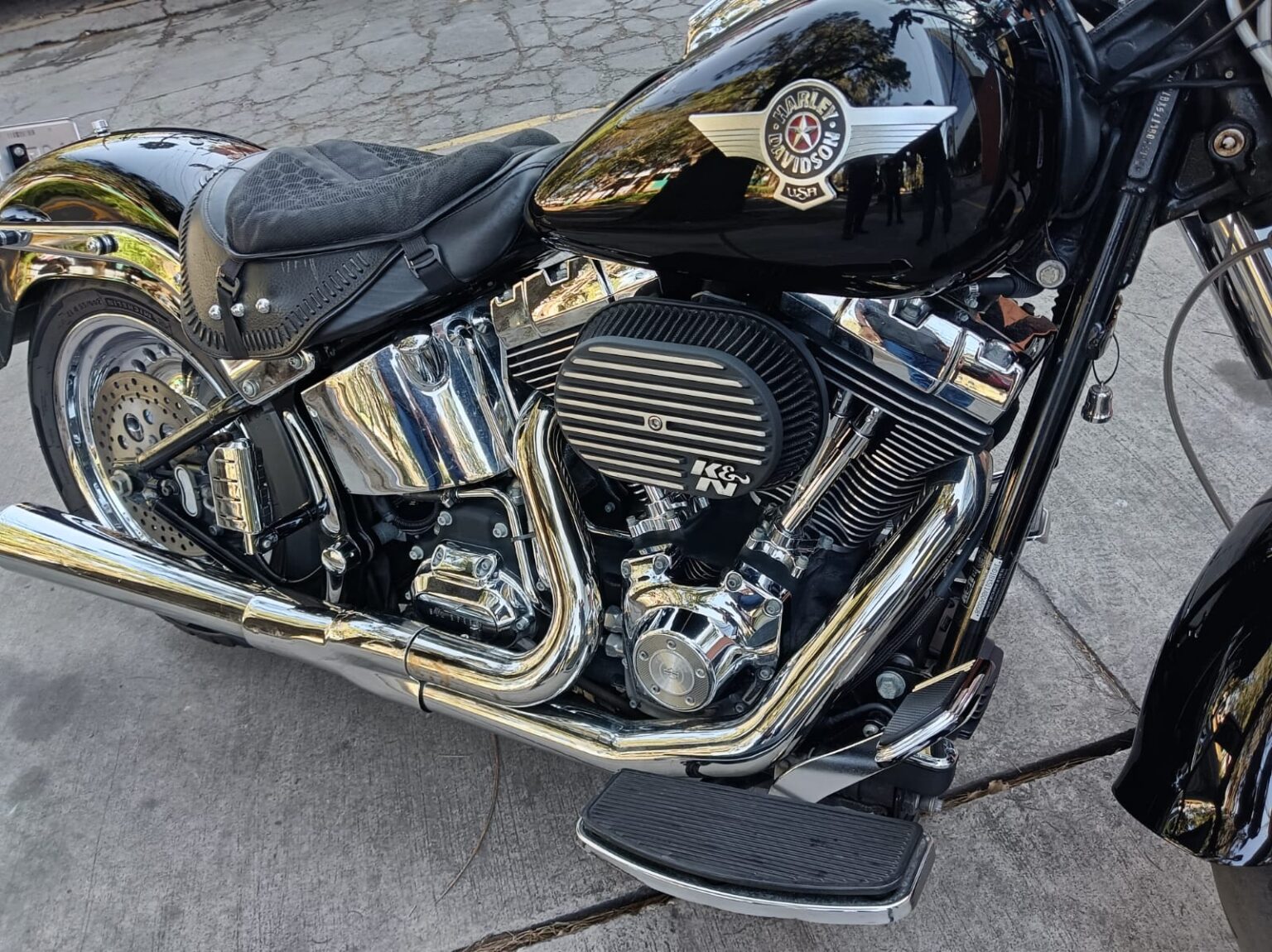 Harley-Davidson-FLSTF-2010-176JTG (4)