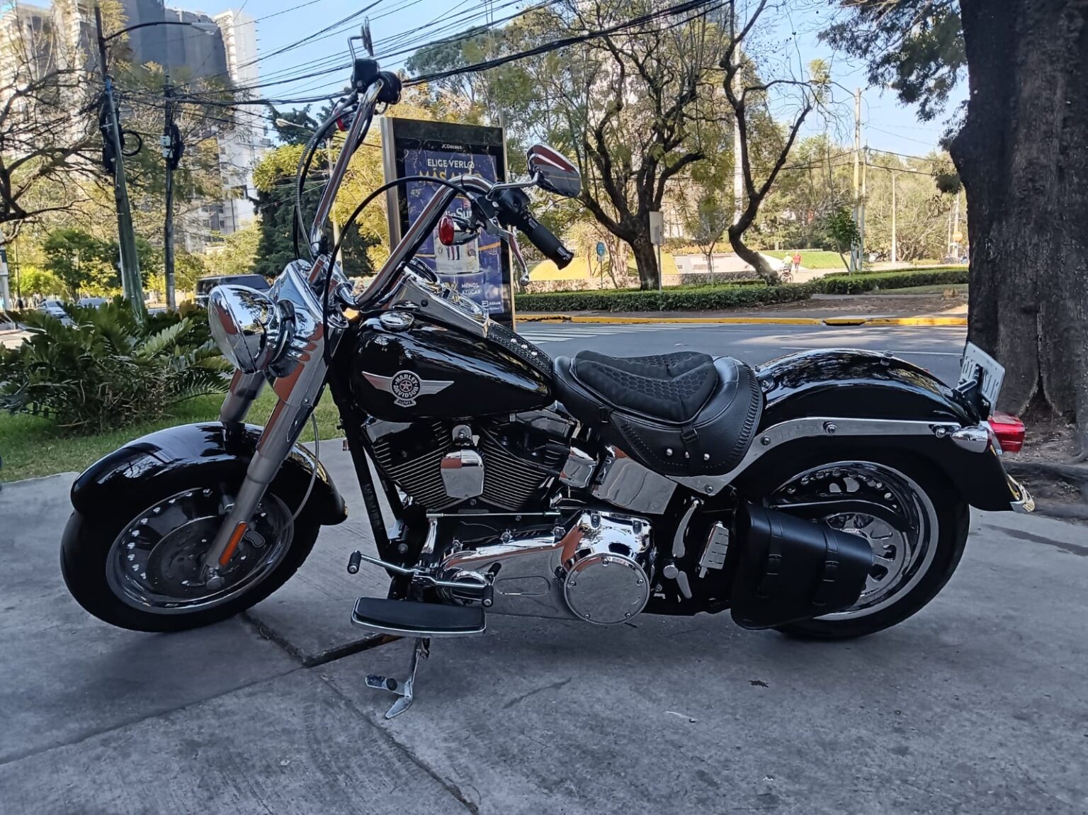 Harley-Davidson-FLSTF-2010-176JTG (8)