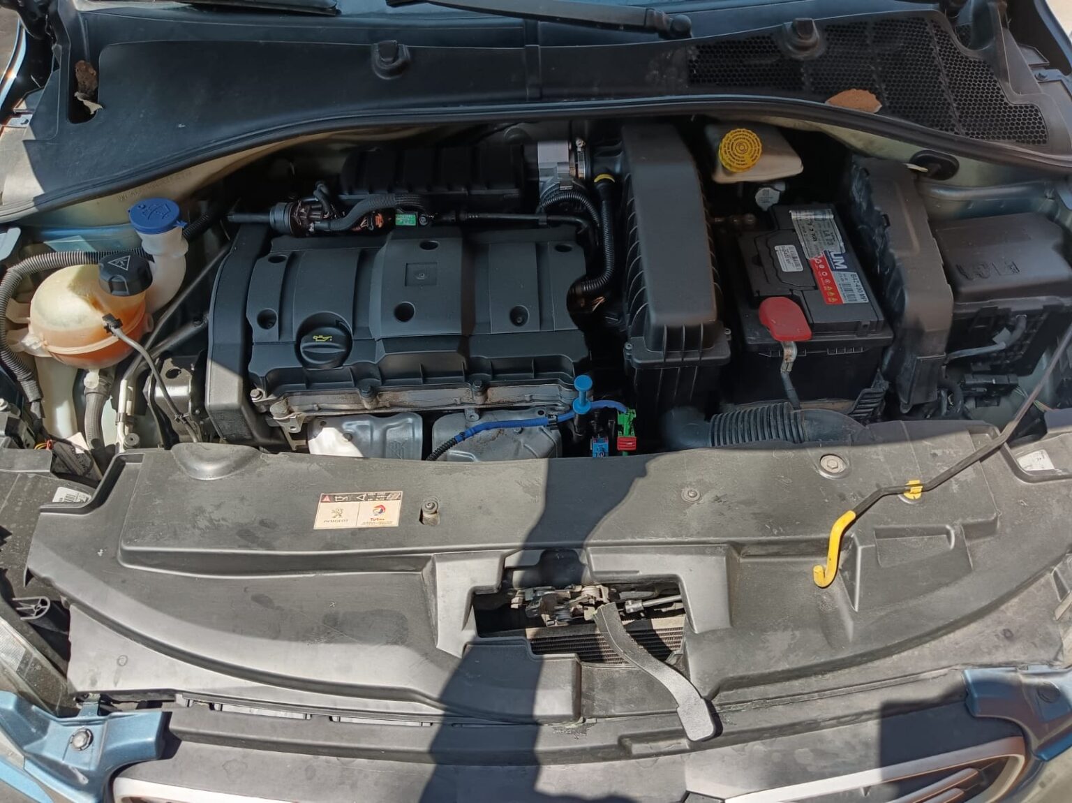 Peugeot-301-Active-2014-547FSD (1)