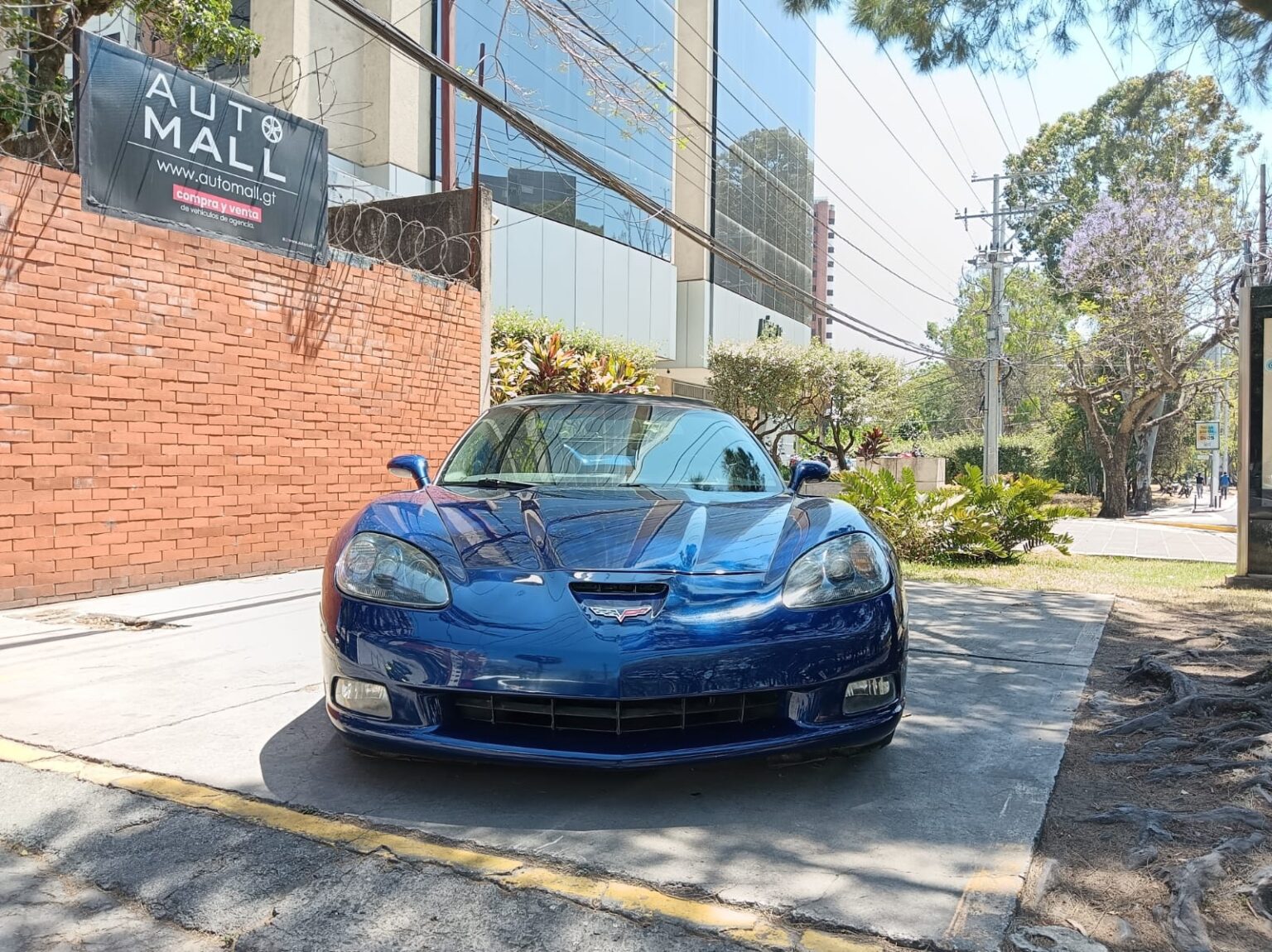 Chevrolet-Corvette-Comvertible-2006-871KHQ (11)