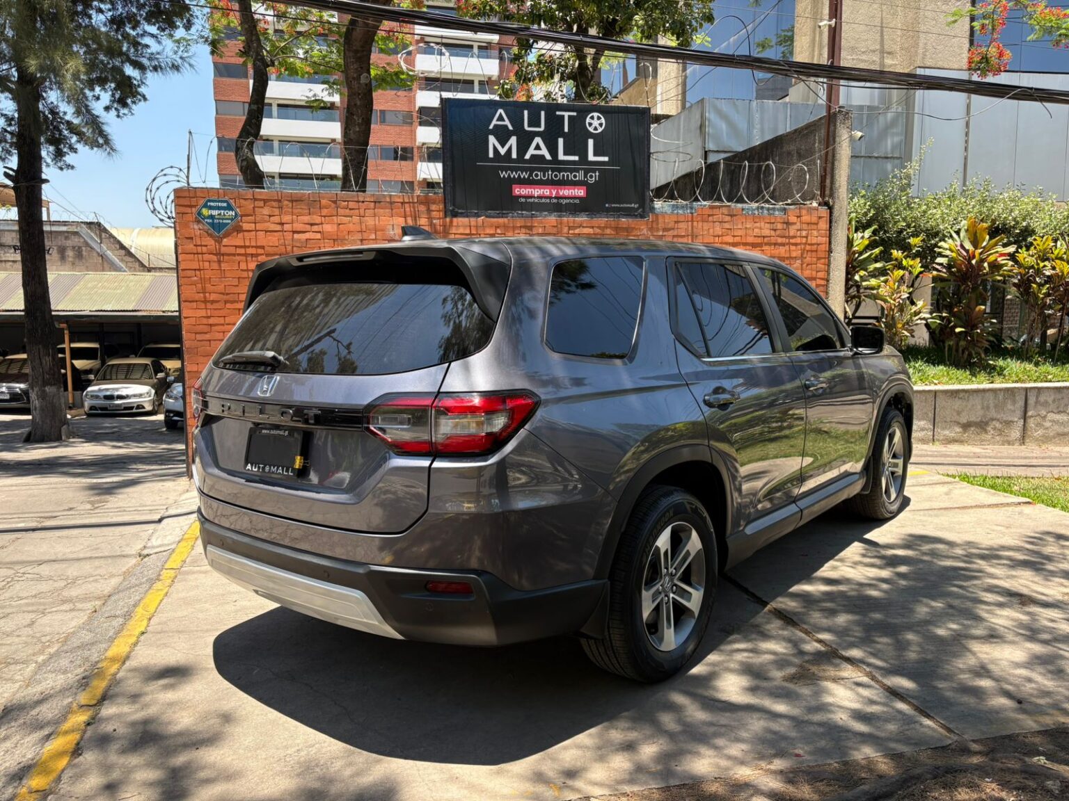 Honda-Pilot-EXL-2025-626LPN (14)