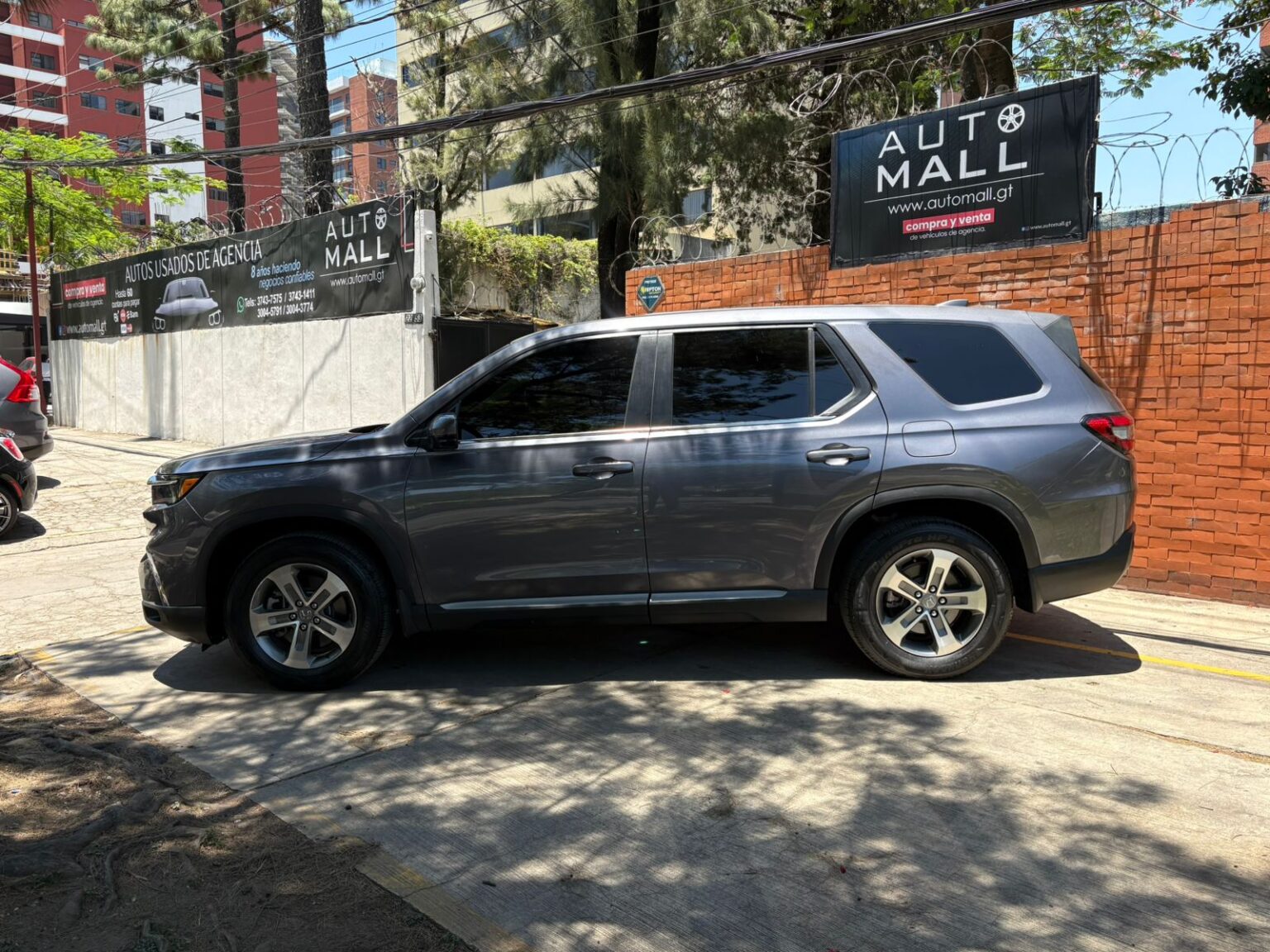 Honda-Pilot-EXL-2025-626LPN (7)