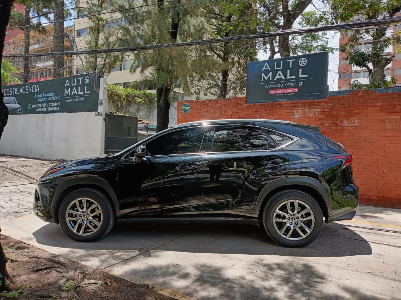 Lexus-NX300-2020-810HRT (1)