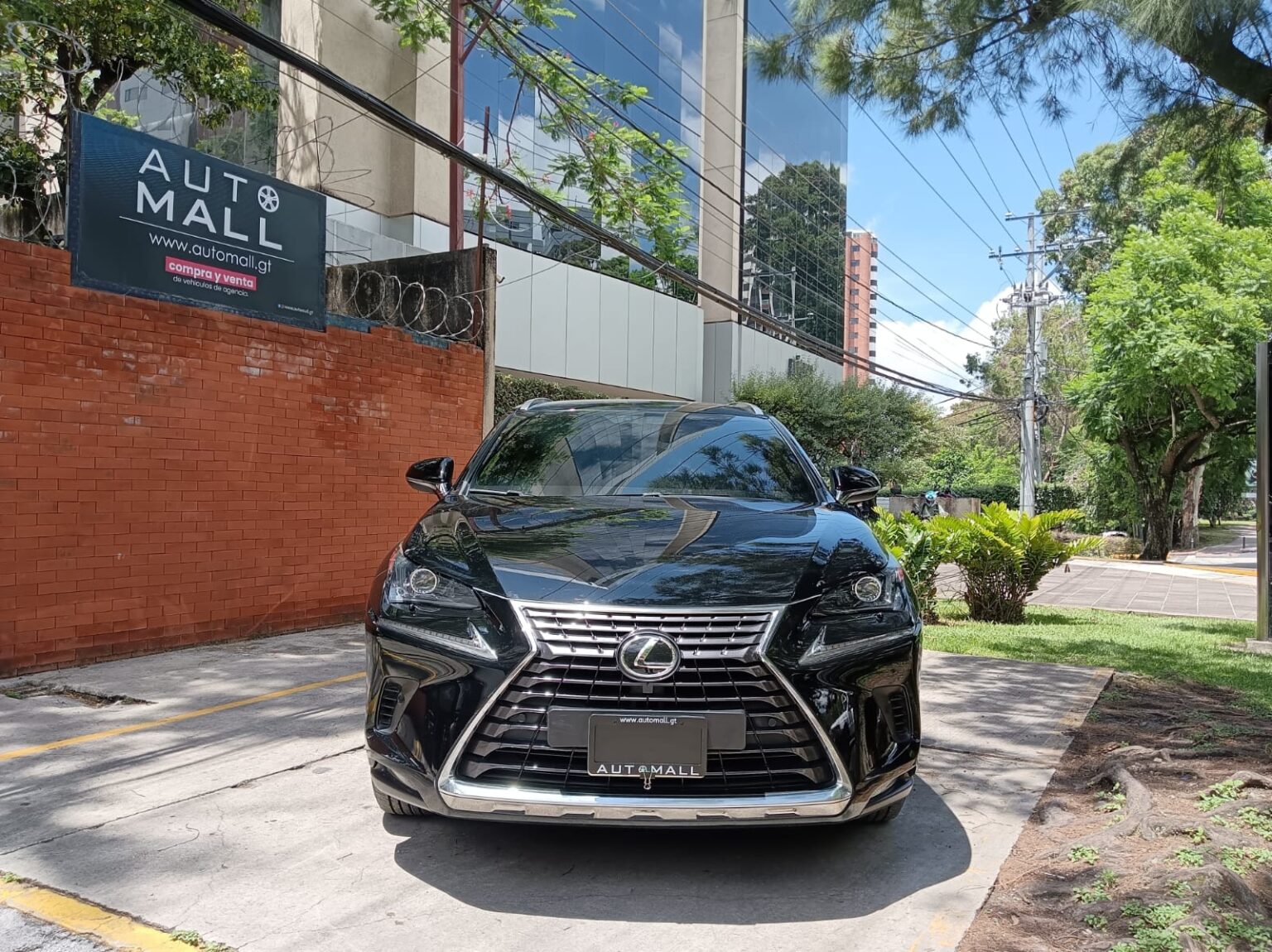 Lexus-NX300-2020-810HRT (3)