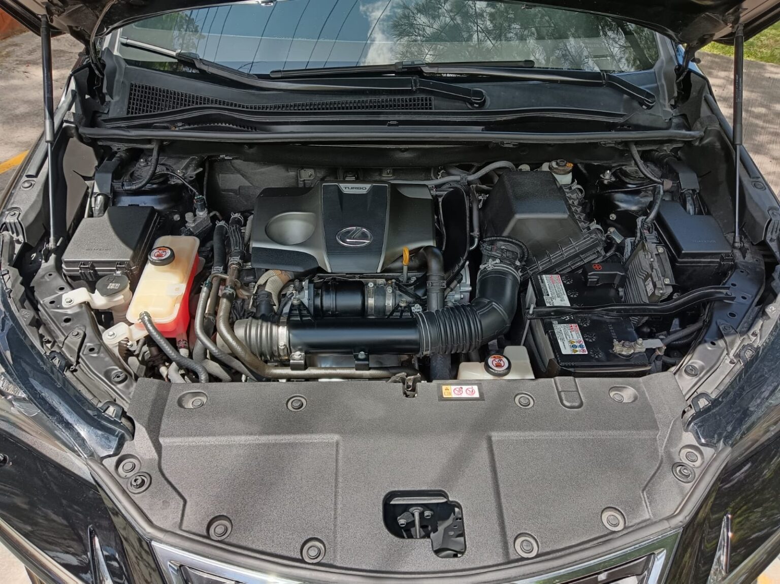 Lexus-NX300-2020-810HRT (4)