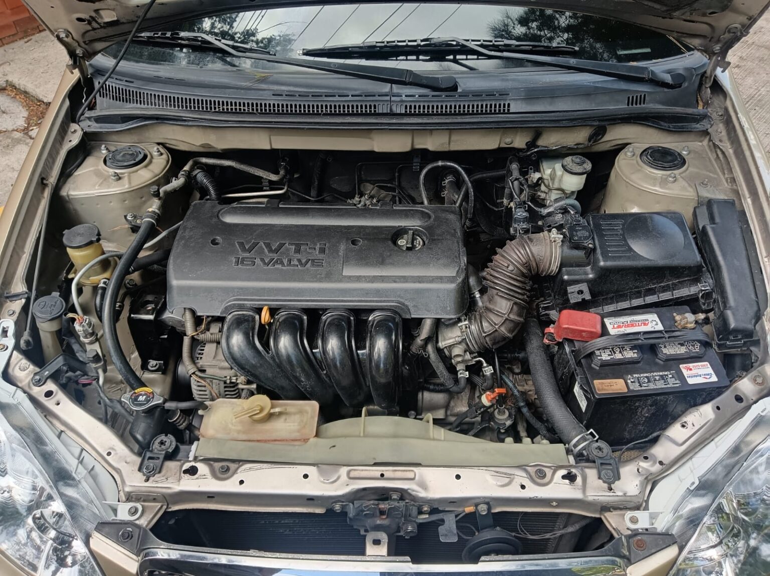 Toyota-Corolla-LE-2006-337FLT (6)