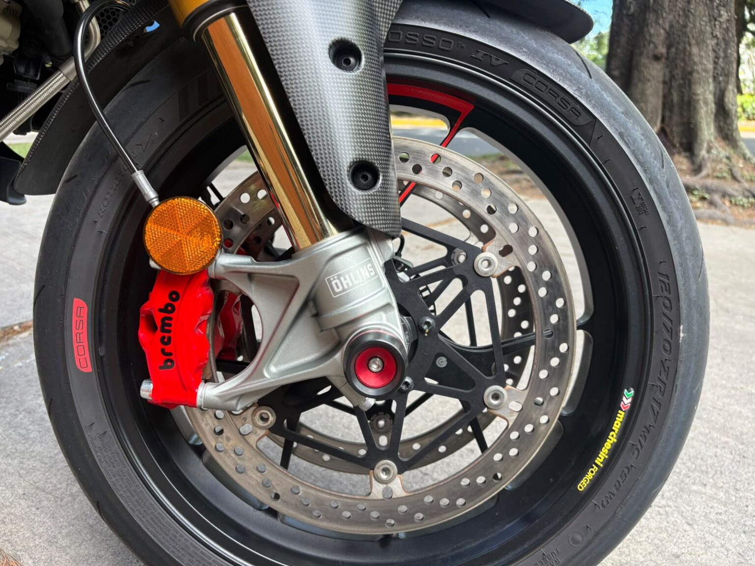 Ducati-Multistrada-V4-RS-2024-857MGS (6)
