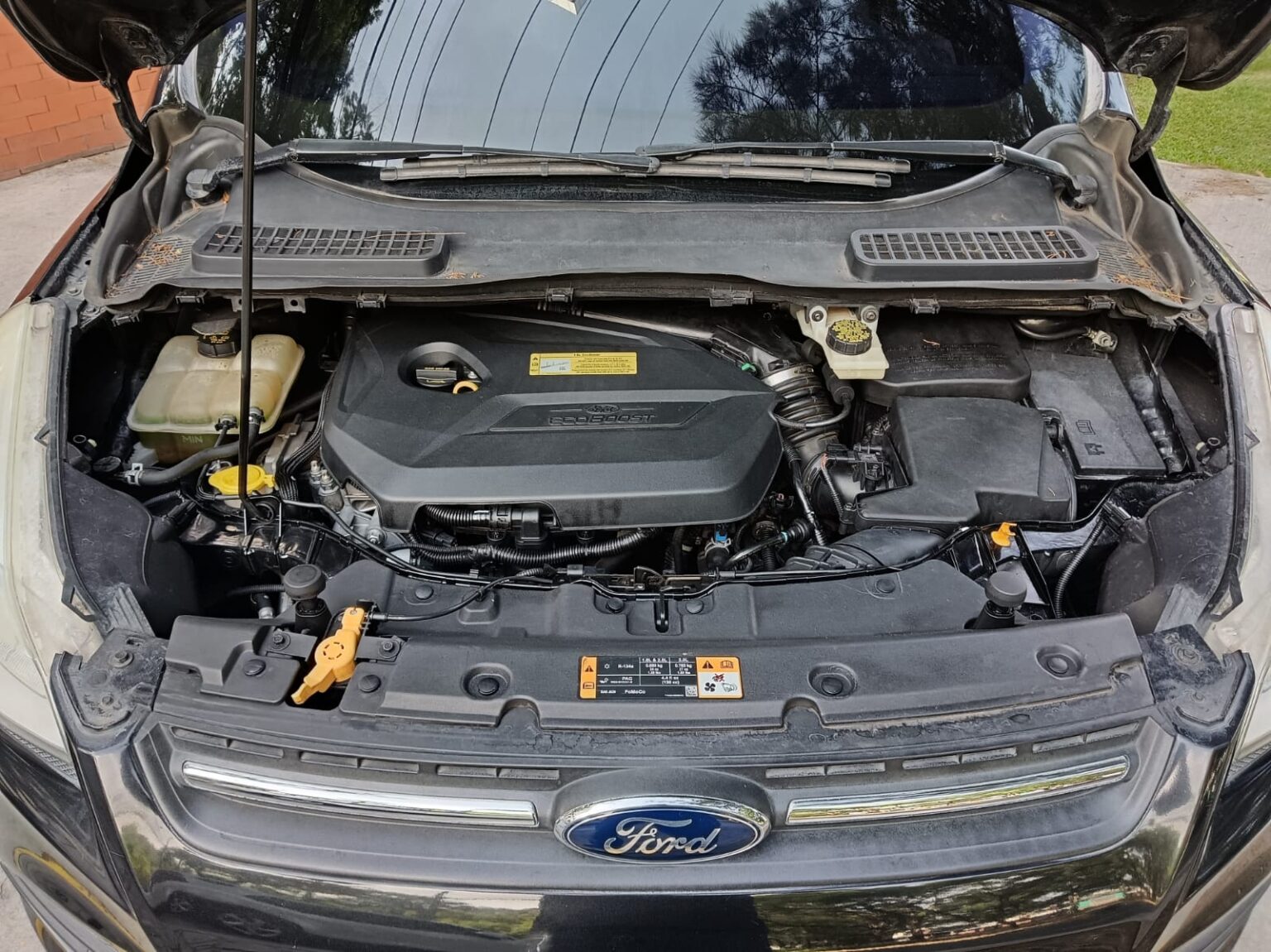Ford-Escape-SE-2013-395FKG (16)