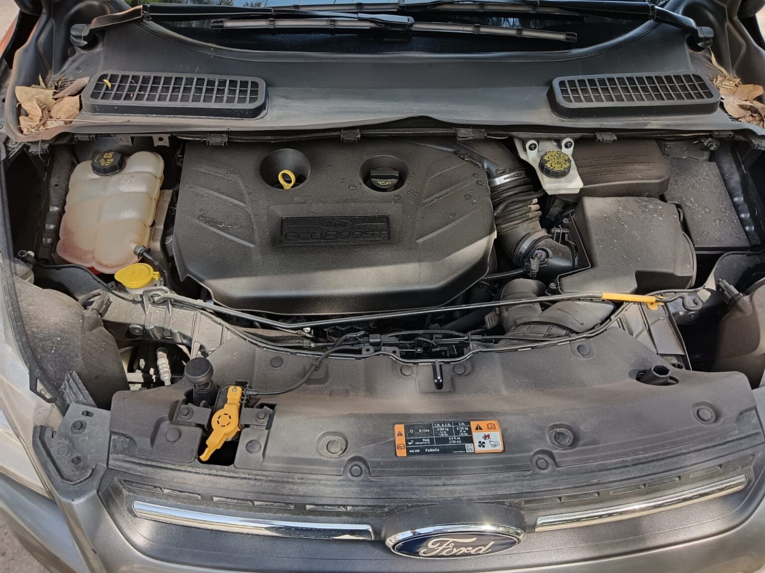 Ford-Escape-SE-2014-144FRF (4)