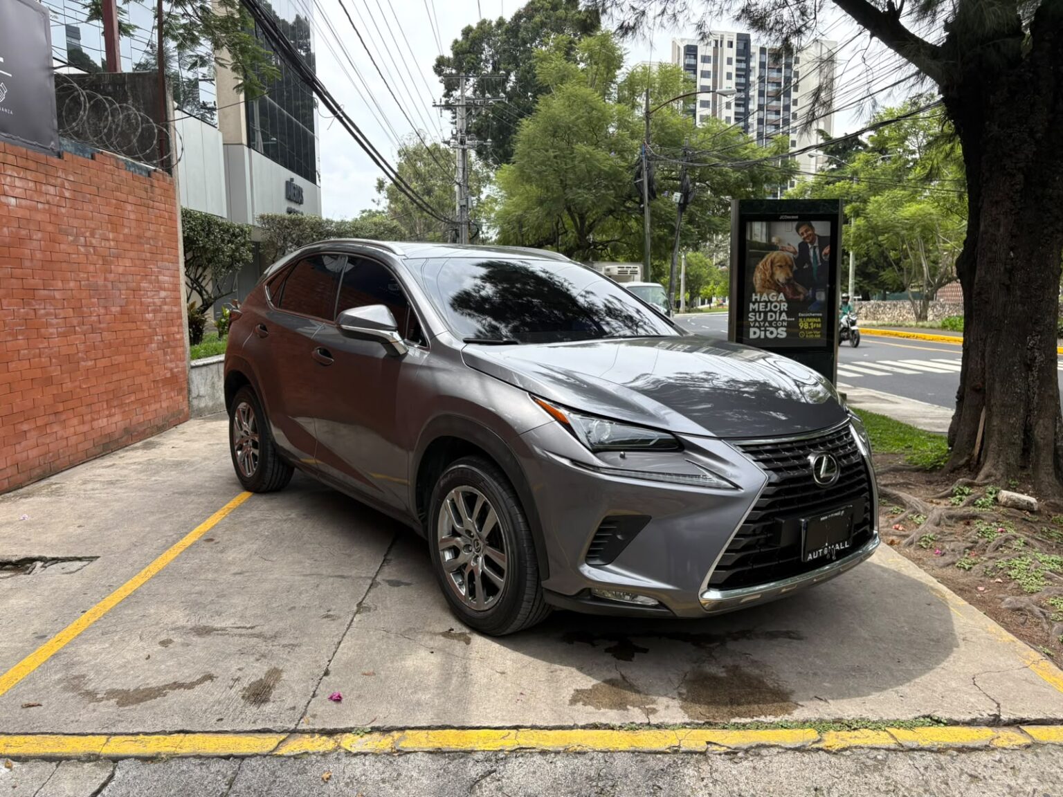 Lexus-NX300-2020-200KFZ (2)