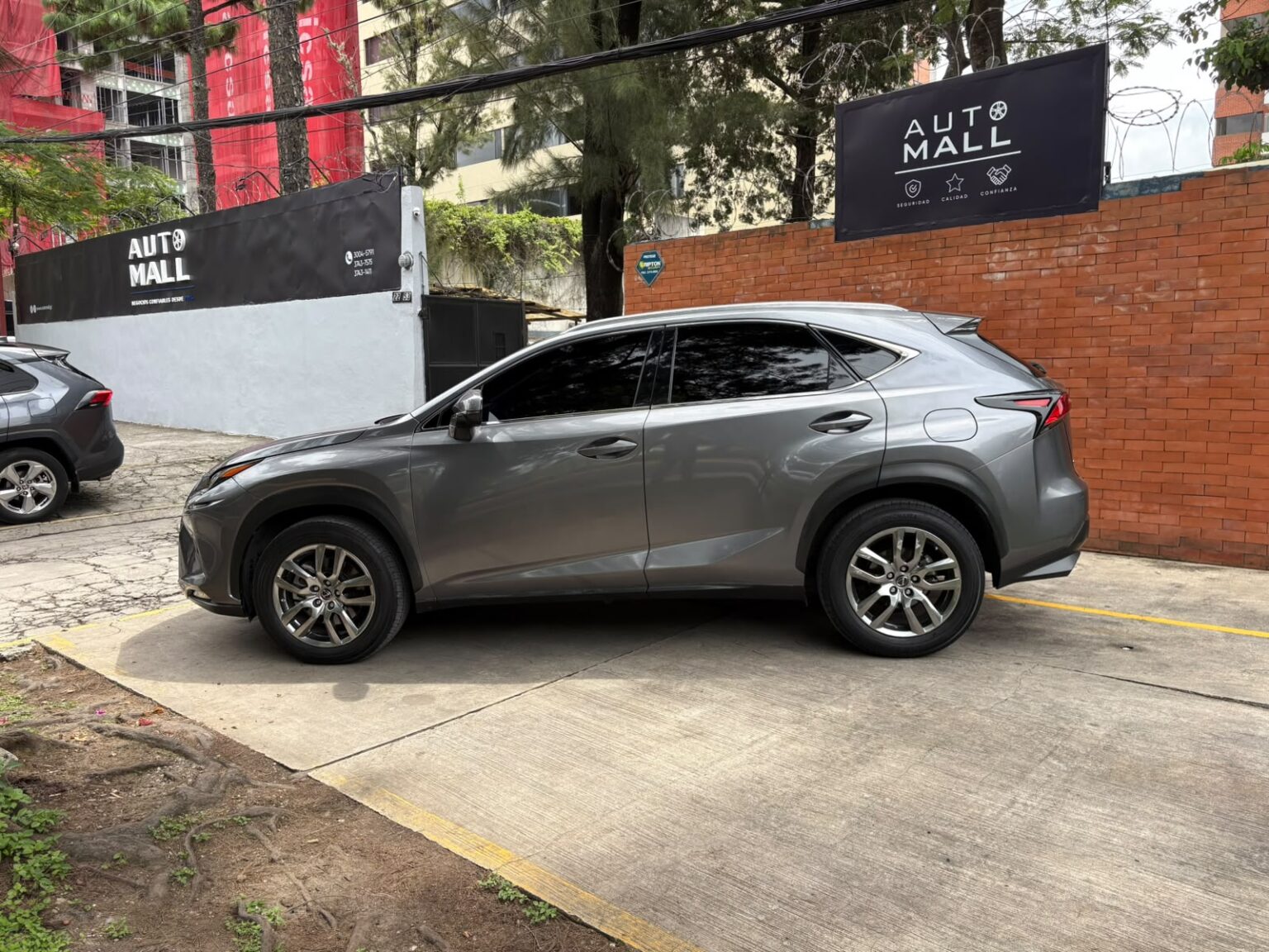 Lexus-NX300-2020-200KFZ (6)