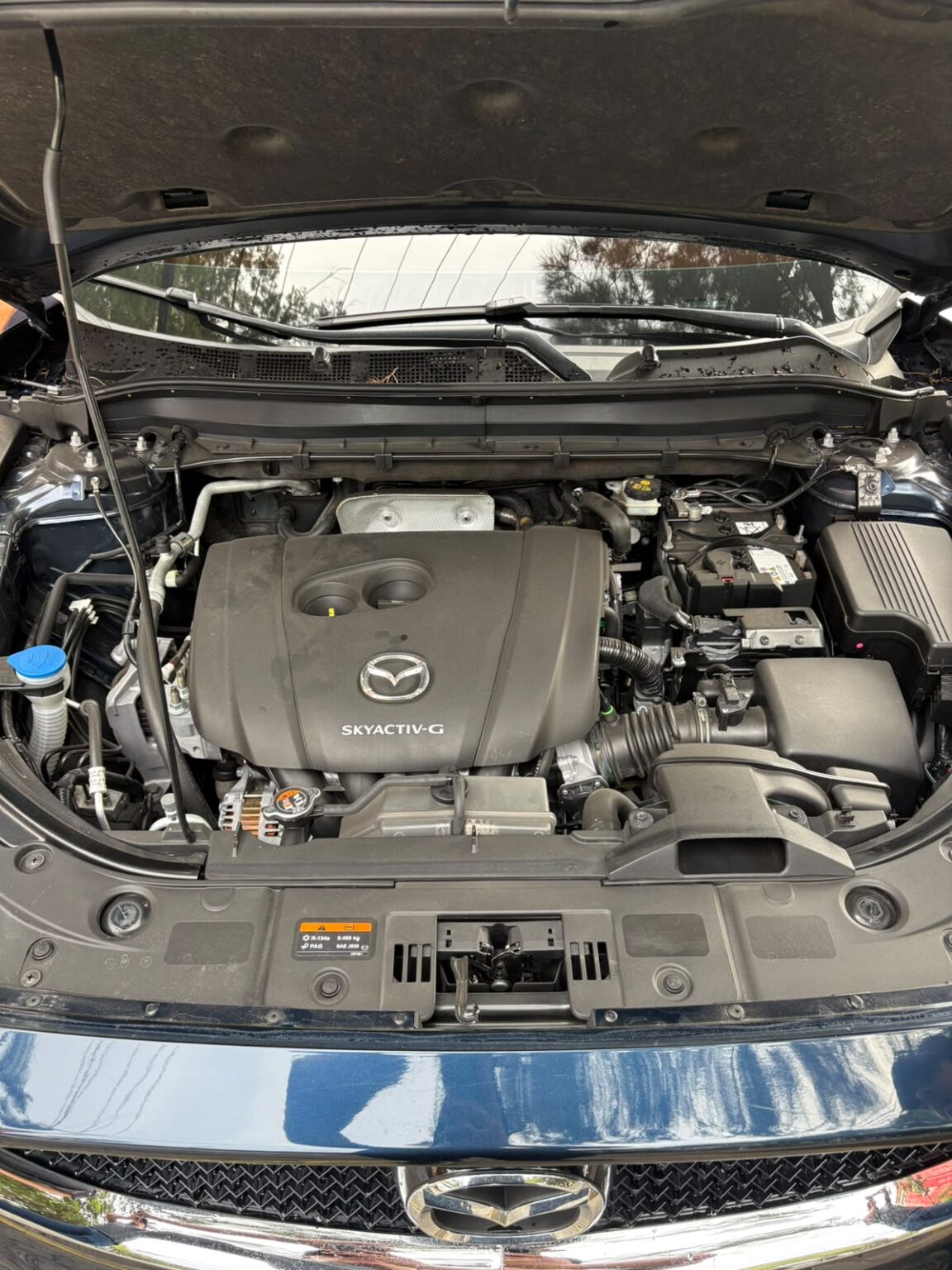 Mazda-CX5-2022-427JLP (19)