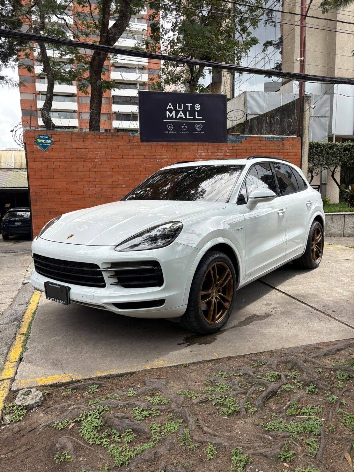 Porsche-Cayenne-eHybrid-2019-785JQF (1)