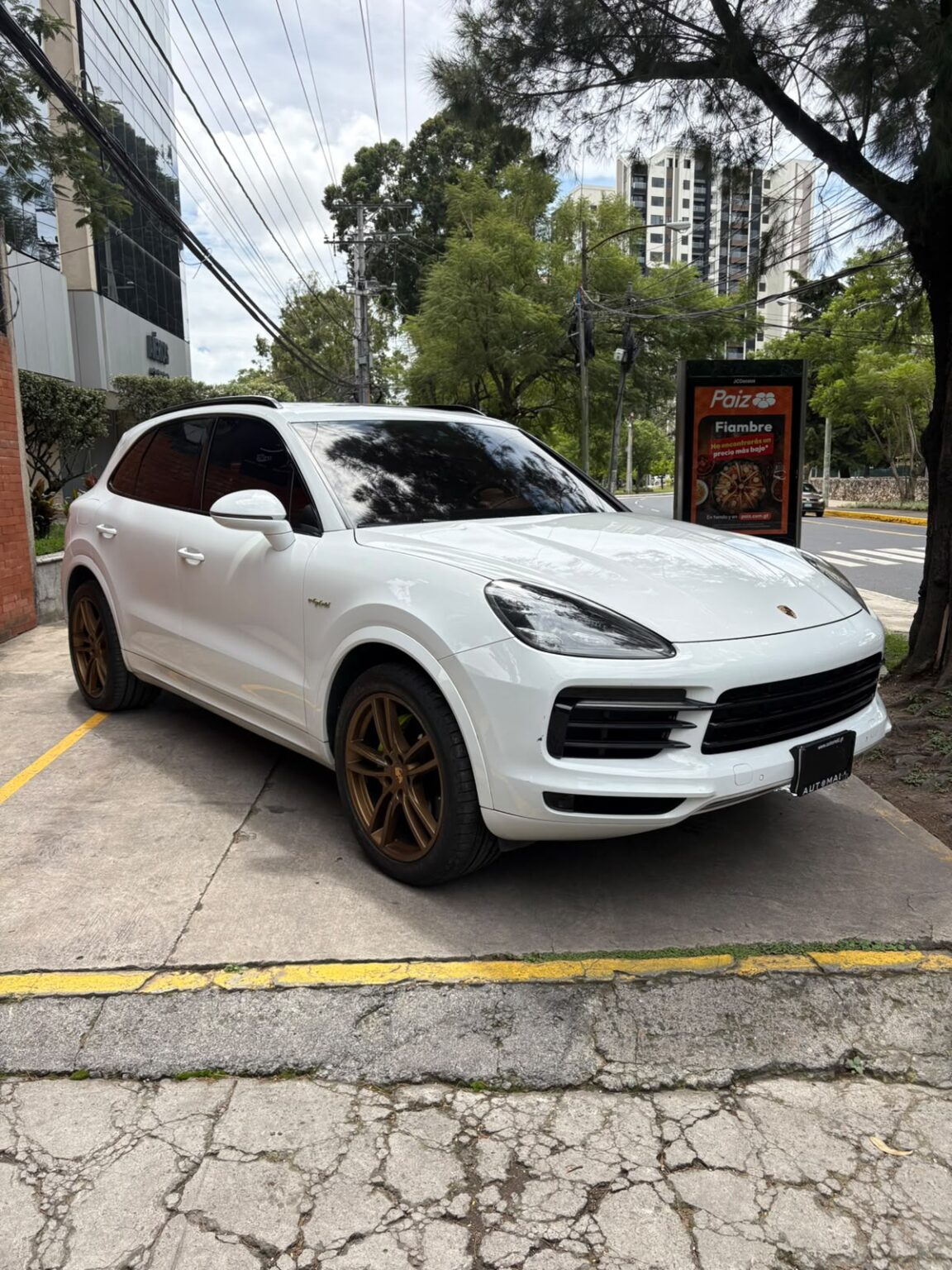Porsche-Cayenne-eHybrid-2019-785JQF (3)