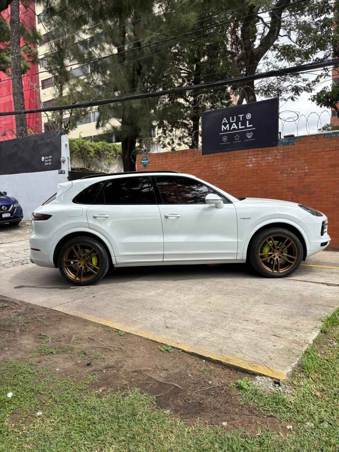 Porsche-Cayenne-eHybrid-2019-785JQF (4)