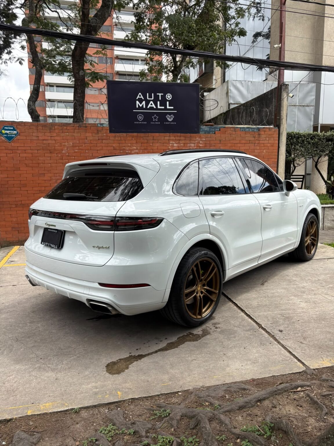 Porsche-Cayenne-eHybrid-2019-785JQF (5)