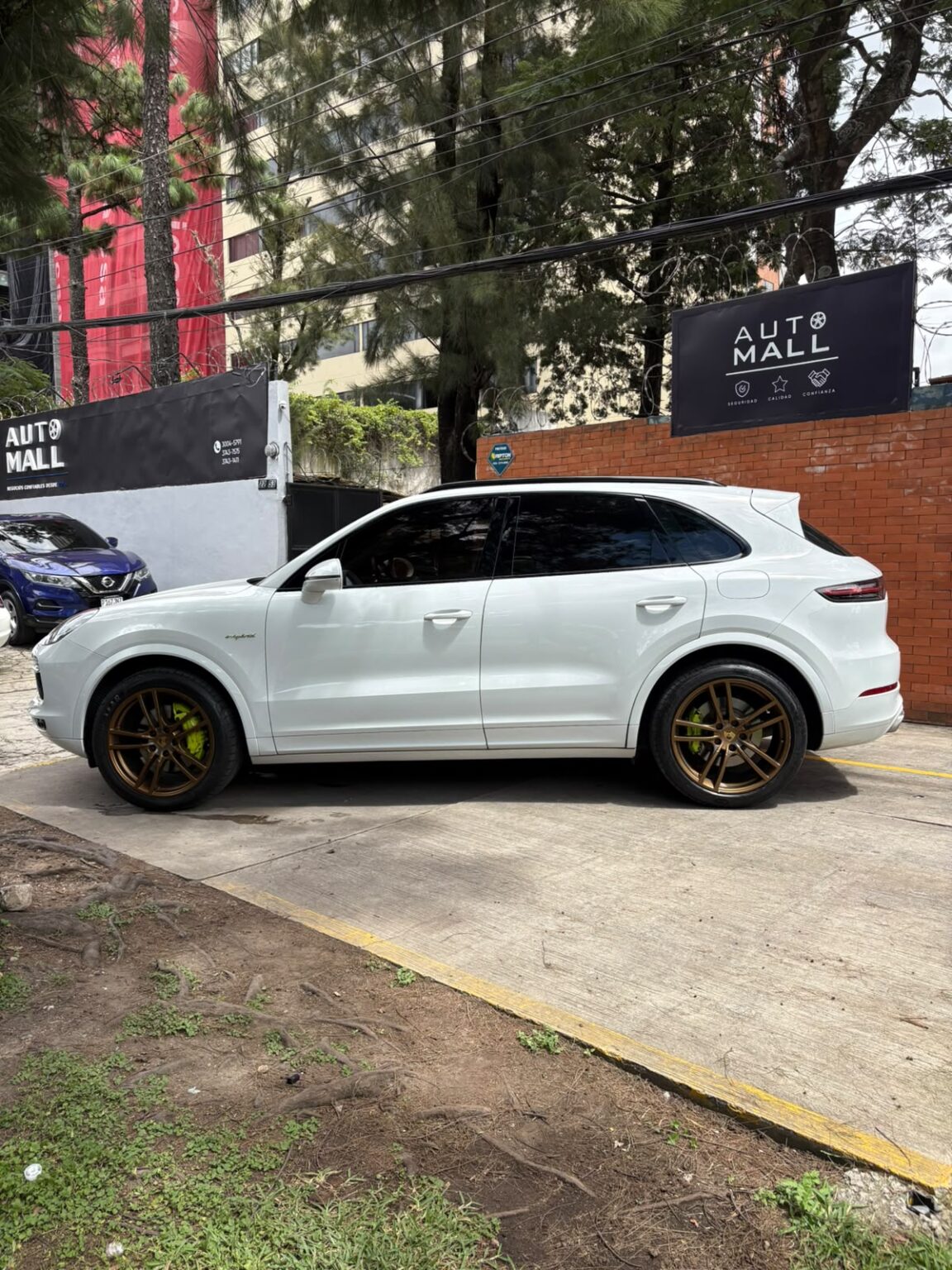 Porsche-Cayenne-eHybrid-2019-785JQF (8)