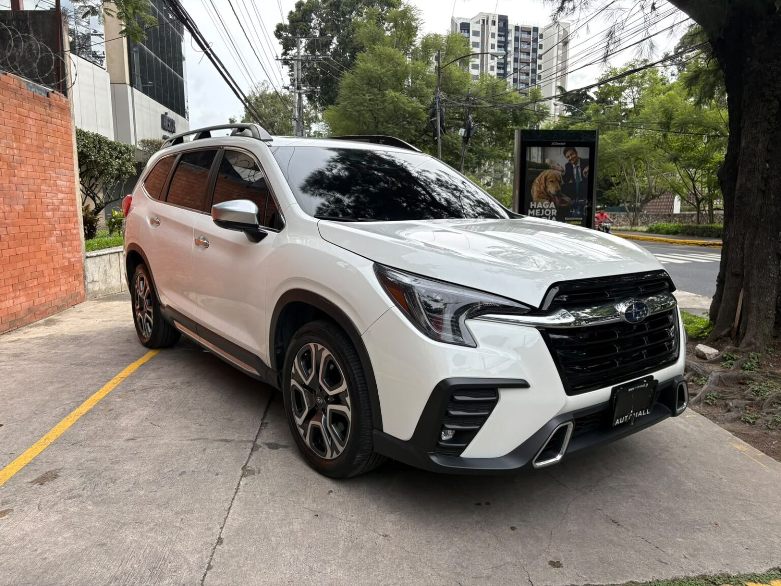 Subaru-Evoltis-2024-854LCK (2)