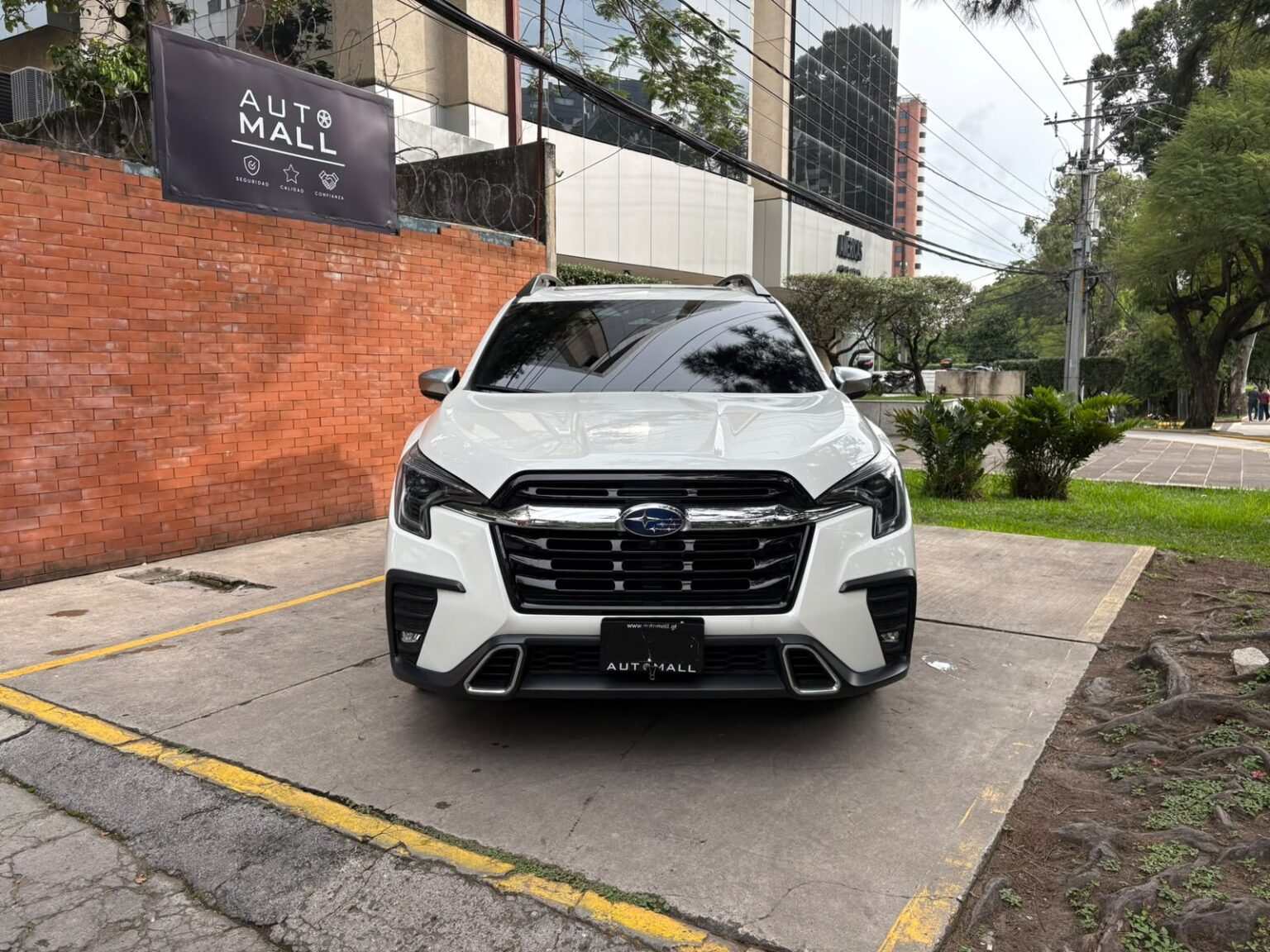 Subaru-Evoltis-2024-854LCK (5)
